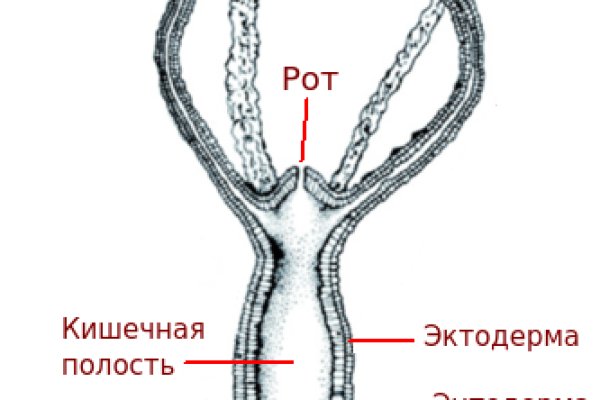 Кракен рабочая ссылка