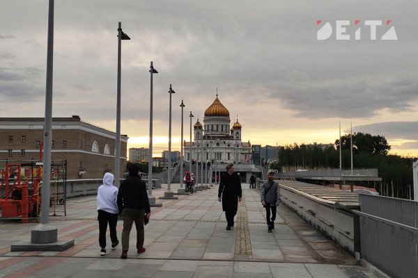 Линк кракена