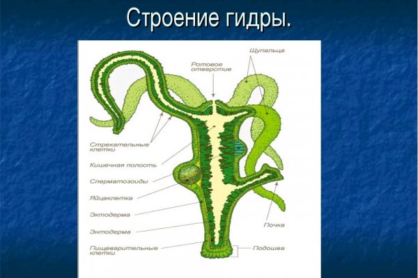 Кракен оригинальная ссылка для тор