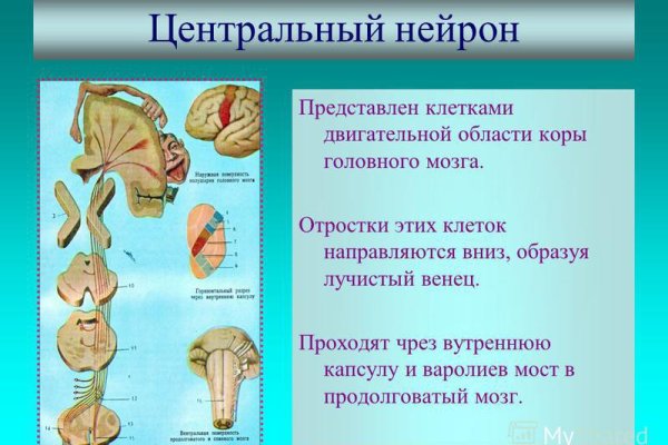 Kraken рынок